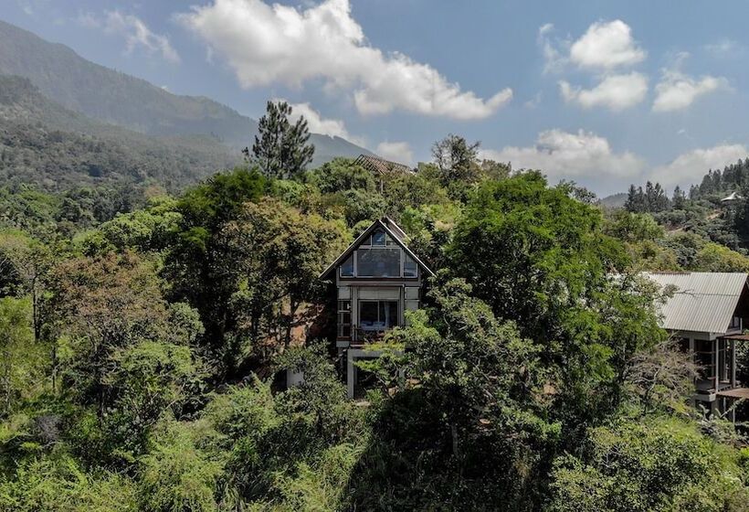 一居室别墅, Treehouse Chalets