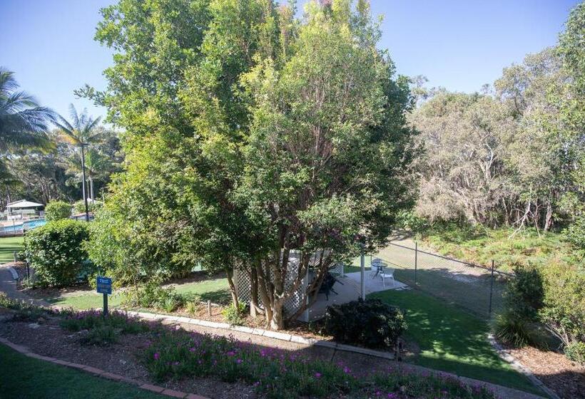 스탠다드 스튜디오 정원 전망, The Islander