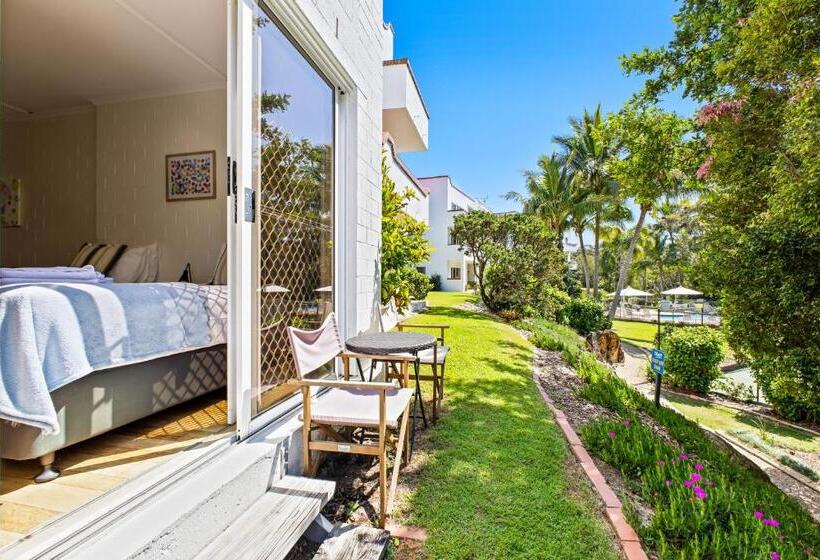 스탠다드 스튜디오 정원 전망, The Islander