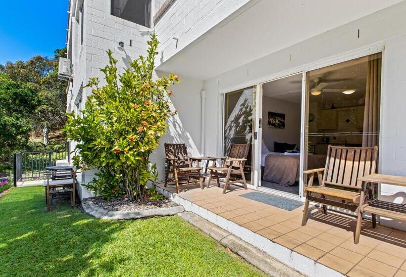 스탠다드 발코니 스튜디오, The Islander