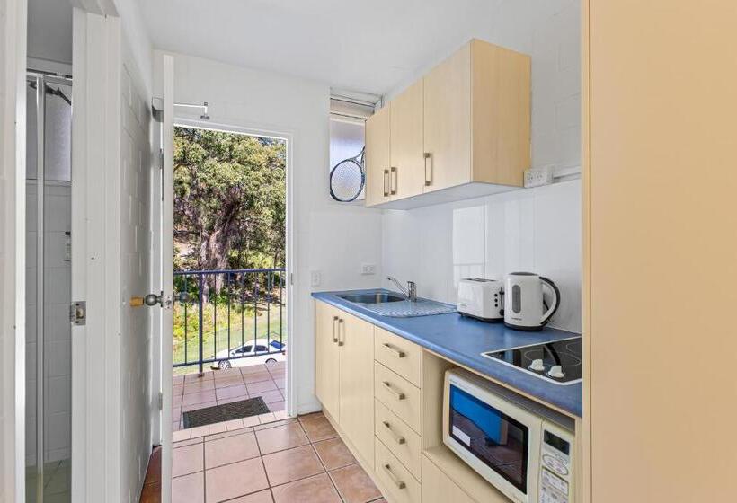 스탠다드 발코니 스튜디오, The Islander