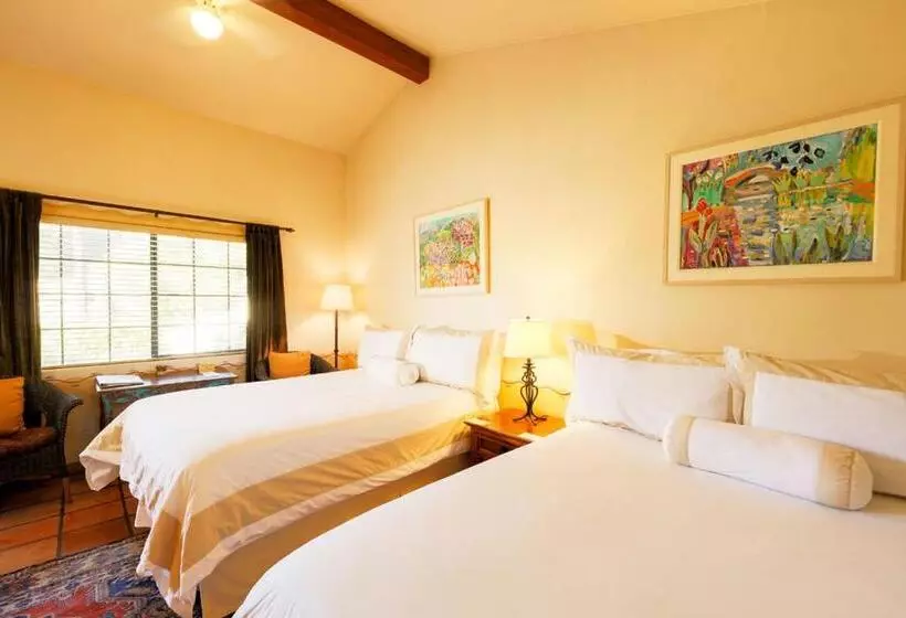 اتاق استاندارد, Blue Iguana Inn