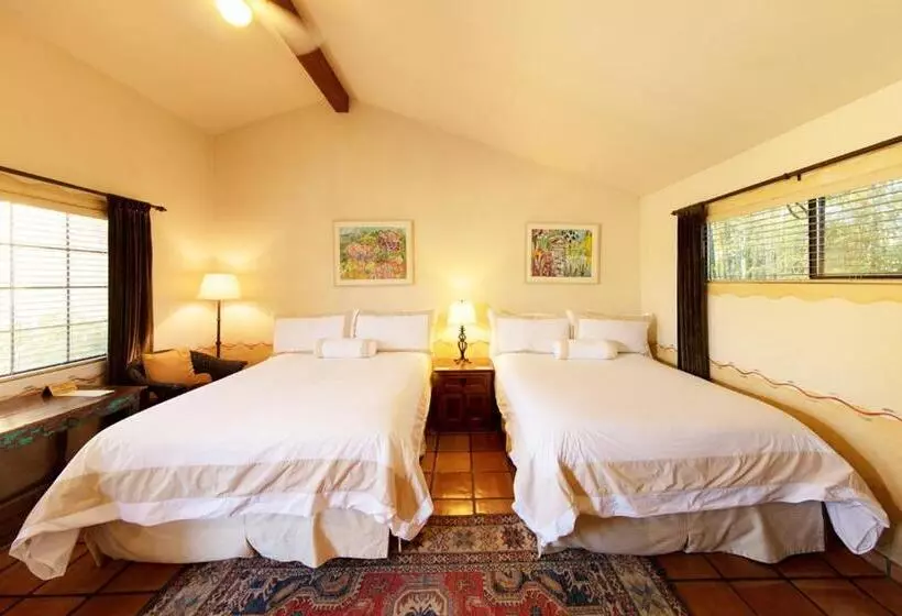 اتاق استاندارد, Blue Iguana Inn