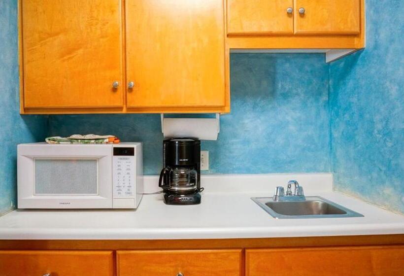 סוויטת 2 חדרי שינה, Blue Iguana Inn