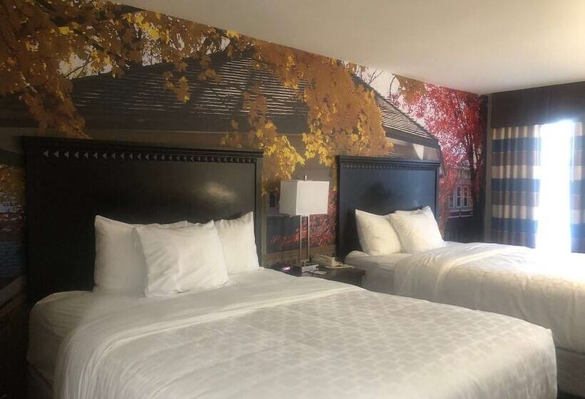 غرفه قياسيه سريرين مزدوجين, Surestay Plus By Best Western Corydon