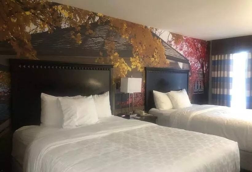 ２ダブルベッドのスタンダードルーム, Surestay Plus By Best Western Corydon