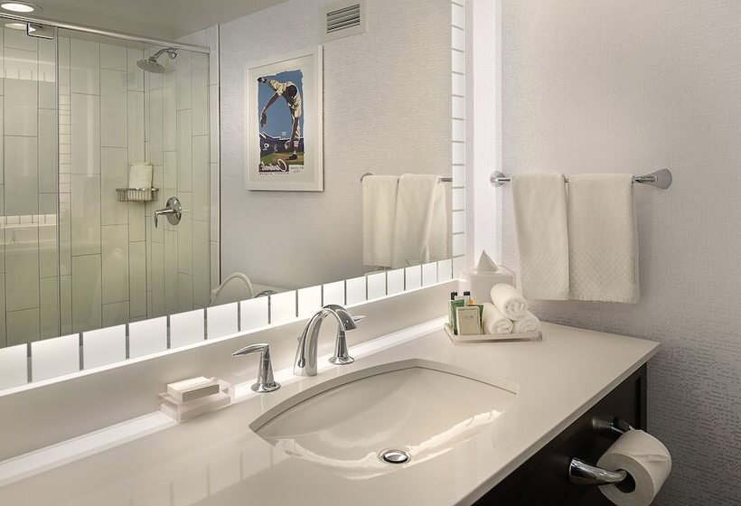 带2个双人床的标准工作室, Hilton St. Louis At The Ballpark