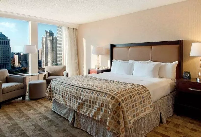 اتاق استاندارد با چشم‌انداز شهر, Hilton St. Louis At The Ballpark