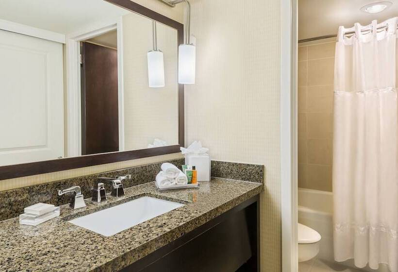 带观景的标准间, Hilton St. Louis At The Ballpark
