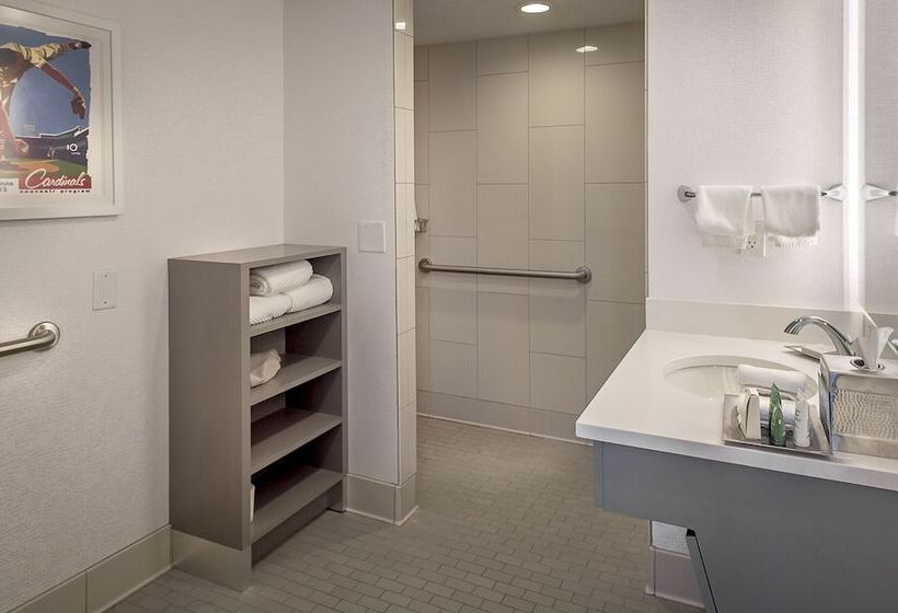 장애인을 위한 스탠다드 룸, Hilton St. Louis At The Ballpark