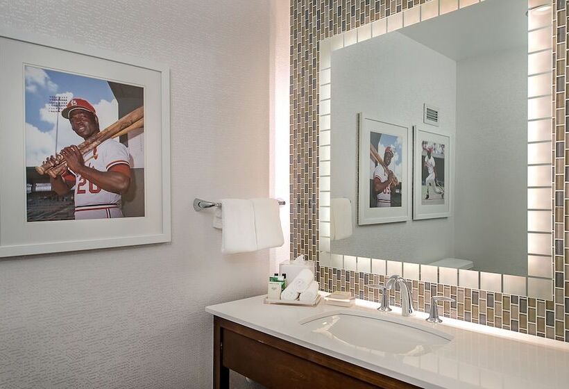 이그제큐티브 룸, Hilton St. Louis At The Ballpark