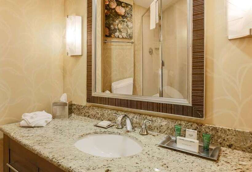 프리미엄 룸, Hilton St. Louis At The Ballpark