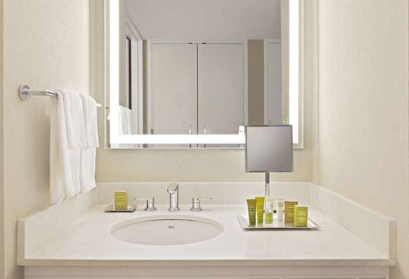 프리미엄 룸, Hilton St. Louis At The Ballpark