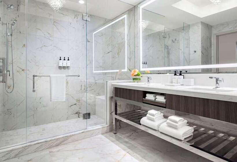 스탠다드 전망 룸, Hilton St. Louis At The Ballpark