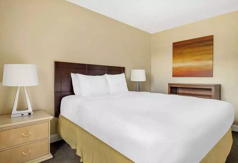 اتاق استاندارد برای معلولان, Hilton St. Louis At The Ballpark