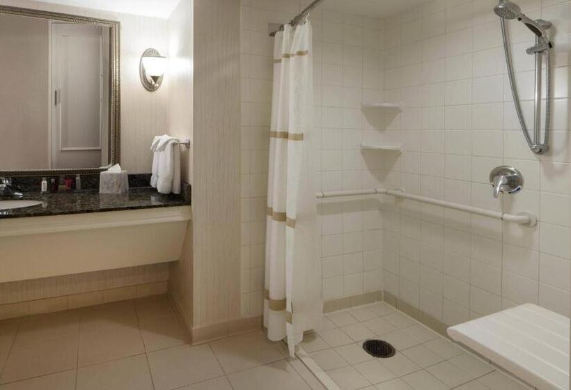 غرفة قياسية سرير كينج, Houston Marriott Sugar Land