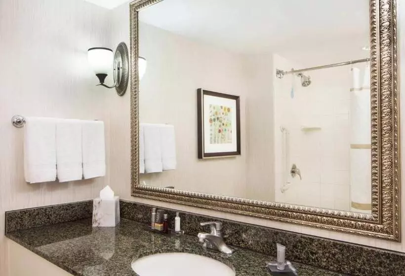 キングサイズベッドのエクゼクティブルーム, Houston Marriott Sugar Land