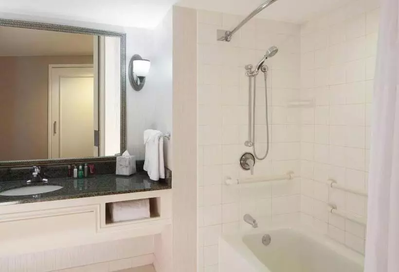 障害者適応デラックスルーム, Houston Marriott Sugar Land