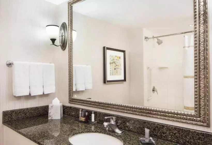 障害者適応デラックスルーム, Houston Marriott Sugar Land