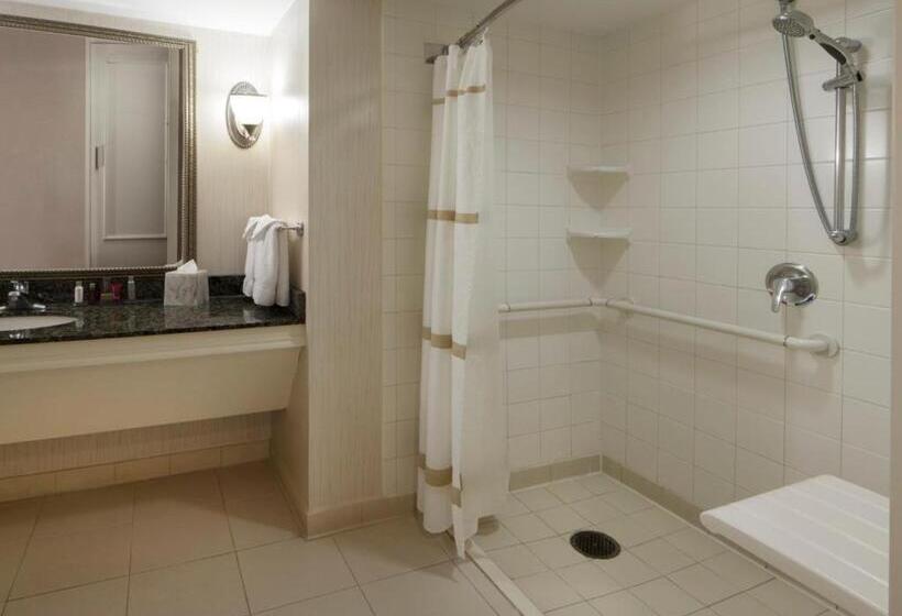 غرفة قياسية سرير كينج, Houston Marriott Sugar Land