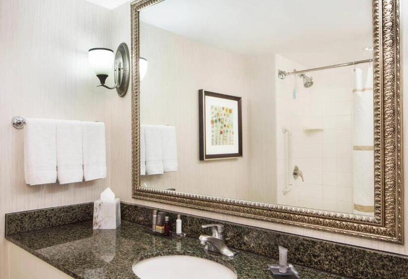 غرفه قياسيه سريرين مزدوجين, Houston Marriott Sugar Land