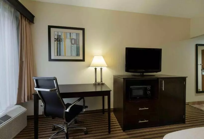 キングサイズベッドのデラックスルーム, La Quinta Inn & Suites By Wyndham Columbus   Grove City