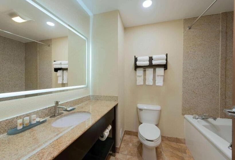Номер Superior, La Quinta Inn & Suites By Wyndham Columbus   Grove City