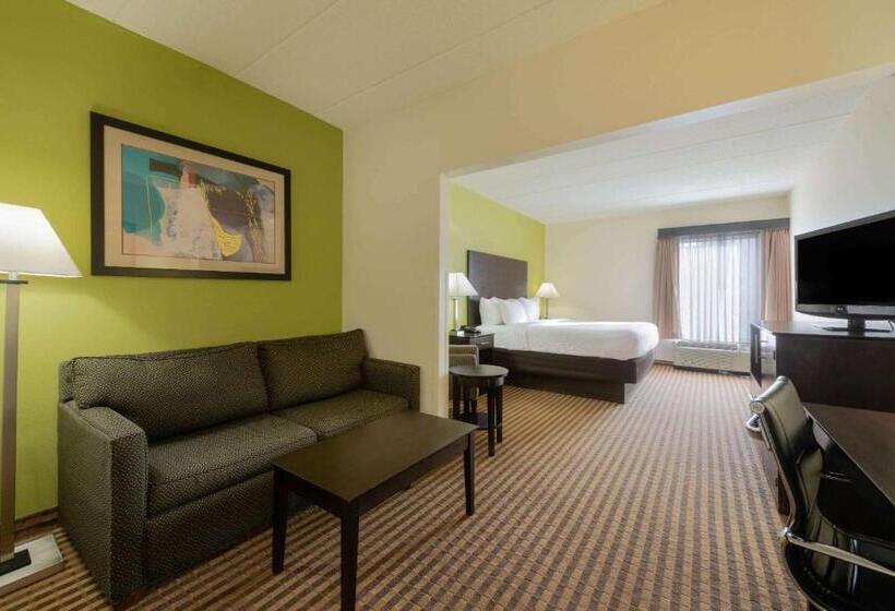 Номер Superior Кровать Кинг, La Quinta Inn & Suites By Wyndham Columbus   Grove City