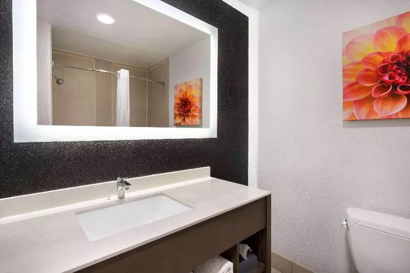 اتاق استاندارد با تخت بزرگ, La Quinta By Wyndham Hesperia Victorville
