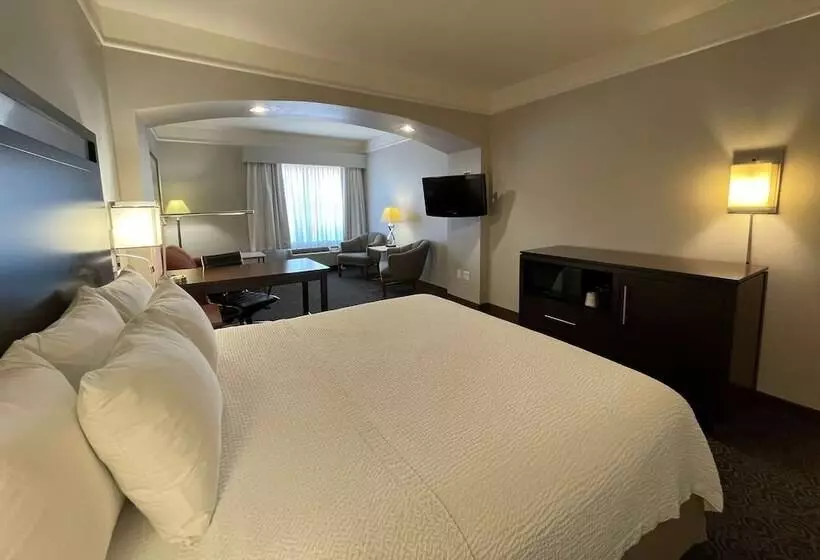 デラックスルーム, Spark By Hilton Houston West Clay Road