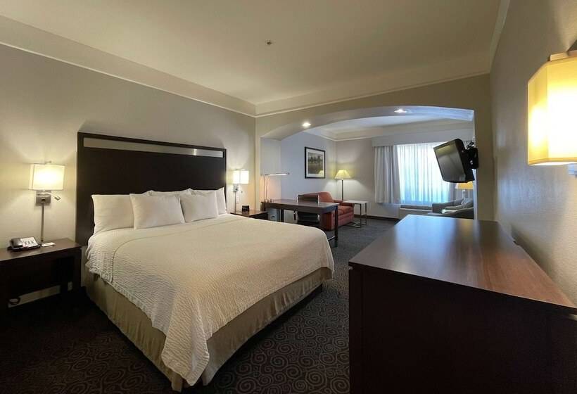 غرفة ديلوكس, Spark By Hilton Houston West Clay Road