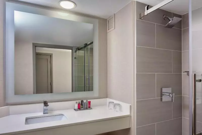 اتاق استاندارد با تخت بزرگ, Marriott Dallas Las Colinas