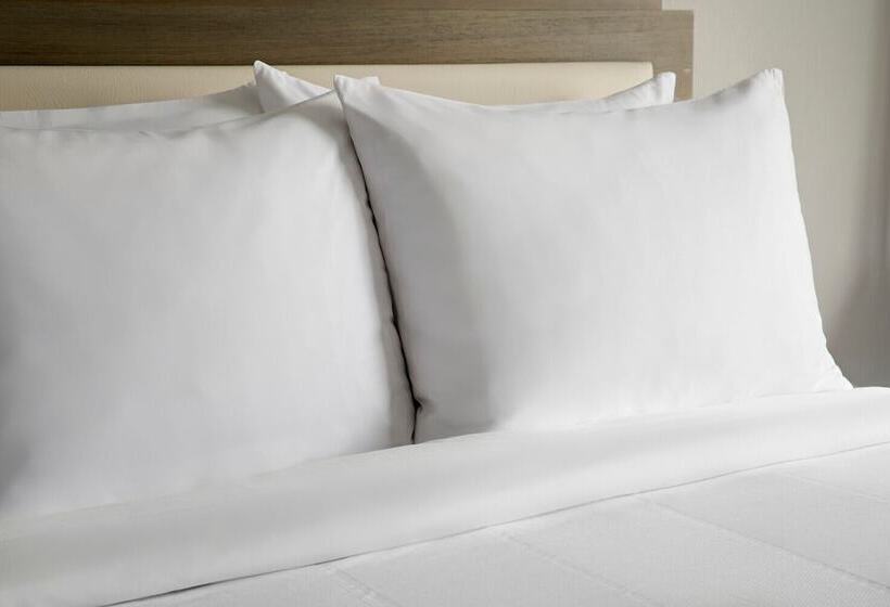 스탠다드 룸 더블 침대 2개, Marriott Dallas Las Colinas