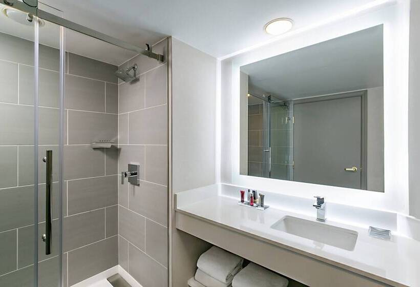 스탠다드 룸, Marriott Dallas Las Colinas