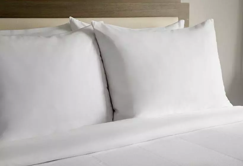 اتاق استاندارد, Marriott Dallas Las Colinas