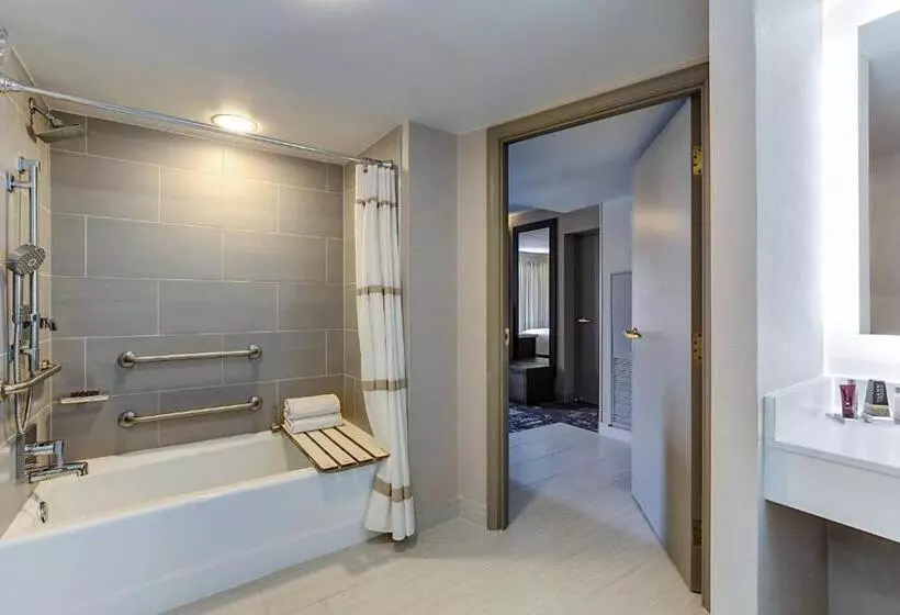 اتاق استاندارد با تخت بزرگ, Marriott Dallas Las Colinas