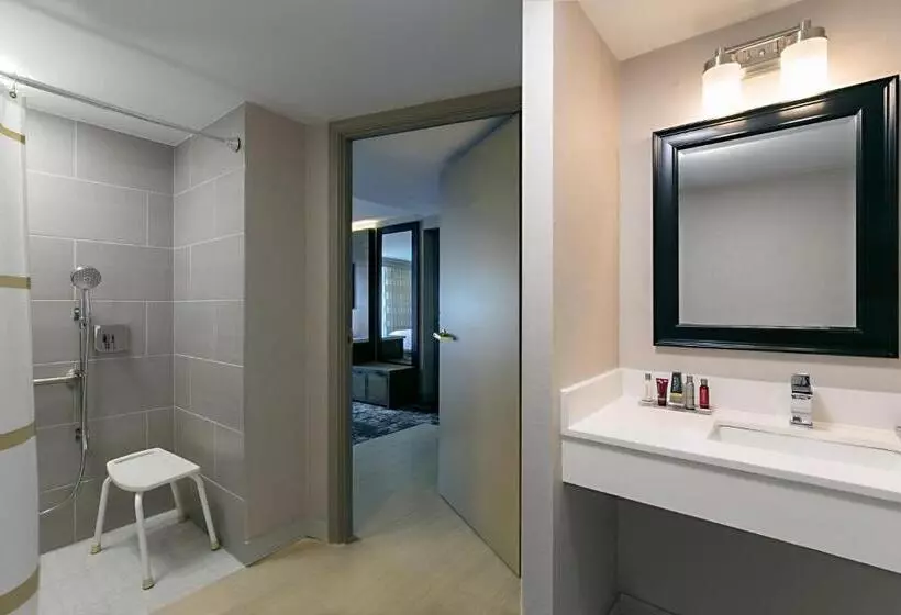 اتاق استاندارد با تخت بزرگ, Marriott Dallas Las Colinas