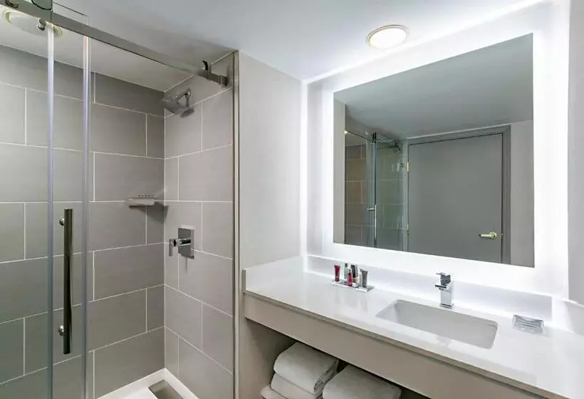اتاق استاندارد با چشم‌انداز دریاچه, Marriott Dallas Las Colinas