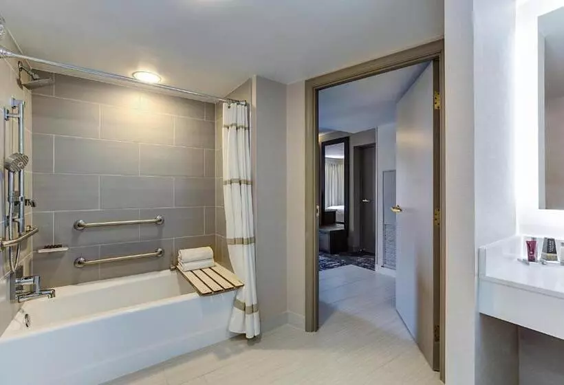 اتاق استاندارد با چشم‌انداز دریاچه, Marriott Dallas Las Colinas