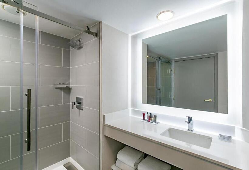 스탠다드 룸 호수 전망, Marriott Dallas Las Colinas