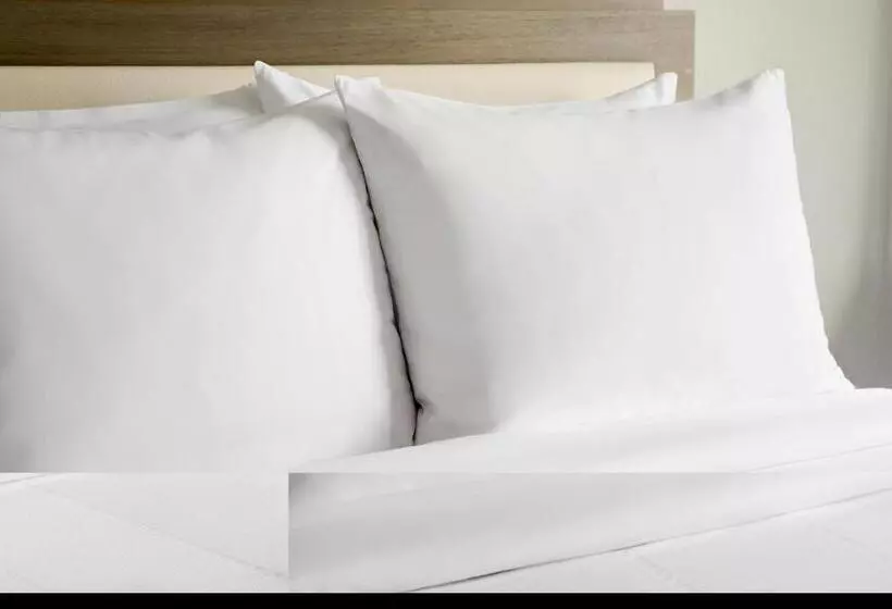 اتاق استاندارد, Marriott Dallas Las Colinas