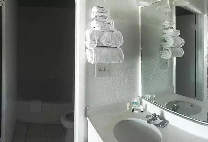 身障者適用キングサイズベッドルーム, Micanopy Inn
