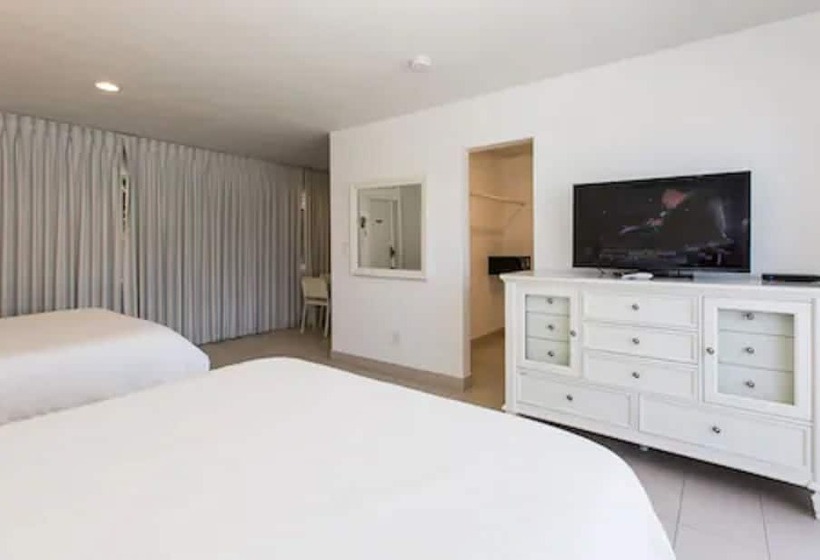 デラックスルーム, Premiere