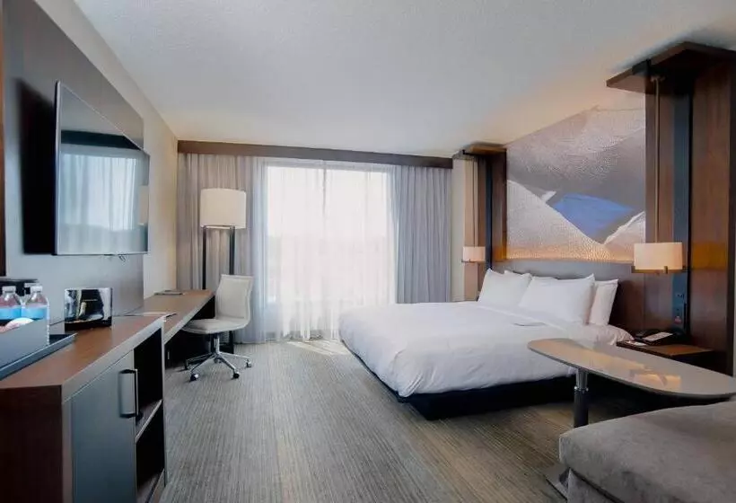 اتاق دلوکس مخصوص معلولین, Richmond Marriott Short Pump