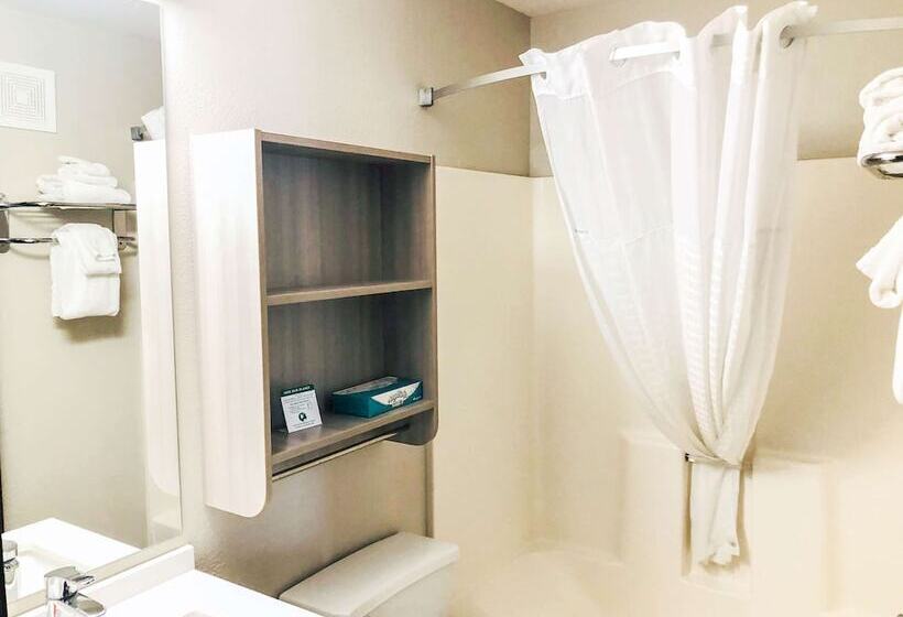 חדר סטנדרט מותאם לאדם עם מוגבלויות, Microtel Inn & Suites By Wyndham Eagan/st Paul