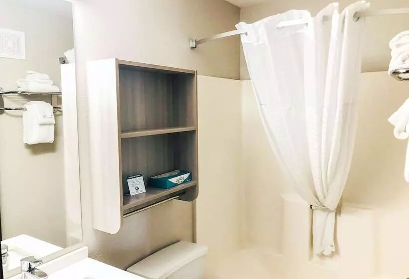 身障者適用スタンダードルーム, Microtel Inn & Suites By Wyndham Eagan/st Paul