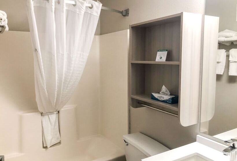 חדר סטנדרט מותאם לאדם עם מוגבלויות, Microtel Inn & Suites By Wyndham Eagan/st Paul