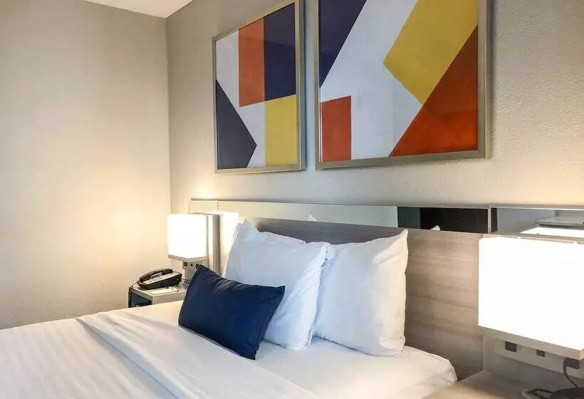 身障者適用スタンダードルーム, Microtel Inn & Suites By Wyndham Eagan/st Paul
