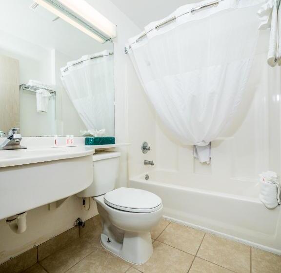 StandaardKamer, Microtel Inn & Suites By Wyndham Palm Coast I95