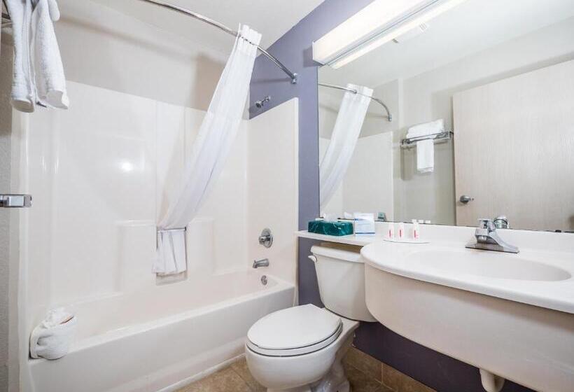 StandaardKamer, Microtel Inn & Suites By Wyndham Palm Coast I95